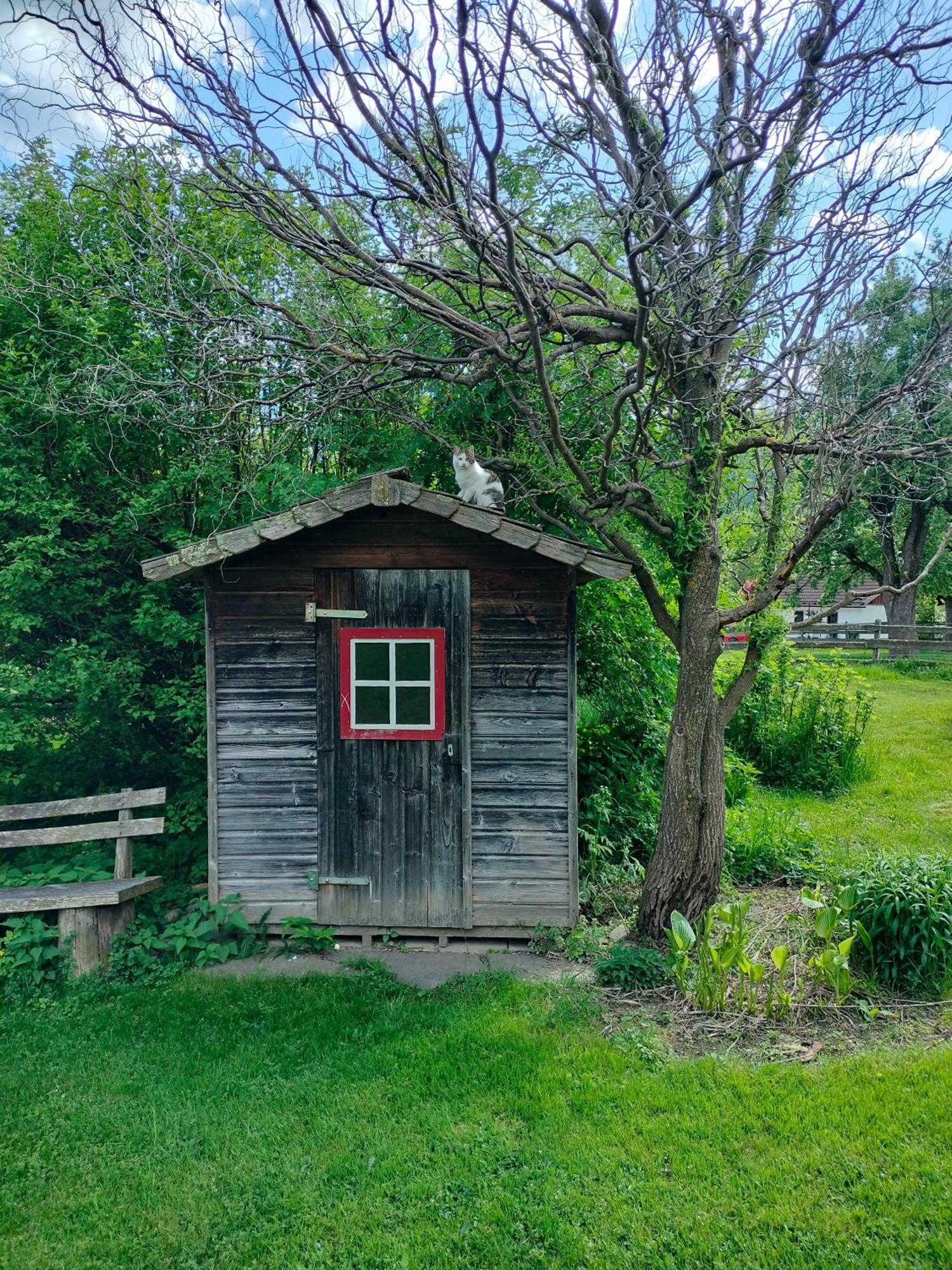 Koestlhof, Familie Hassler Bed and Breakfast Oberdrauburg Eksteriør billede